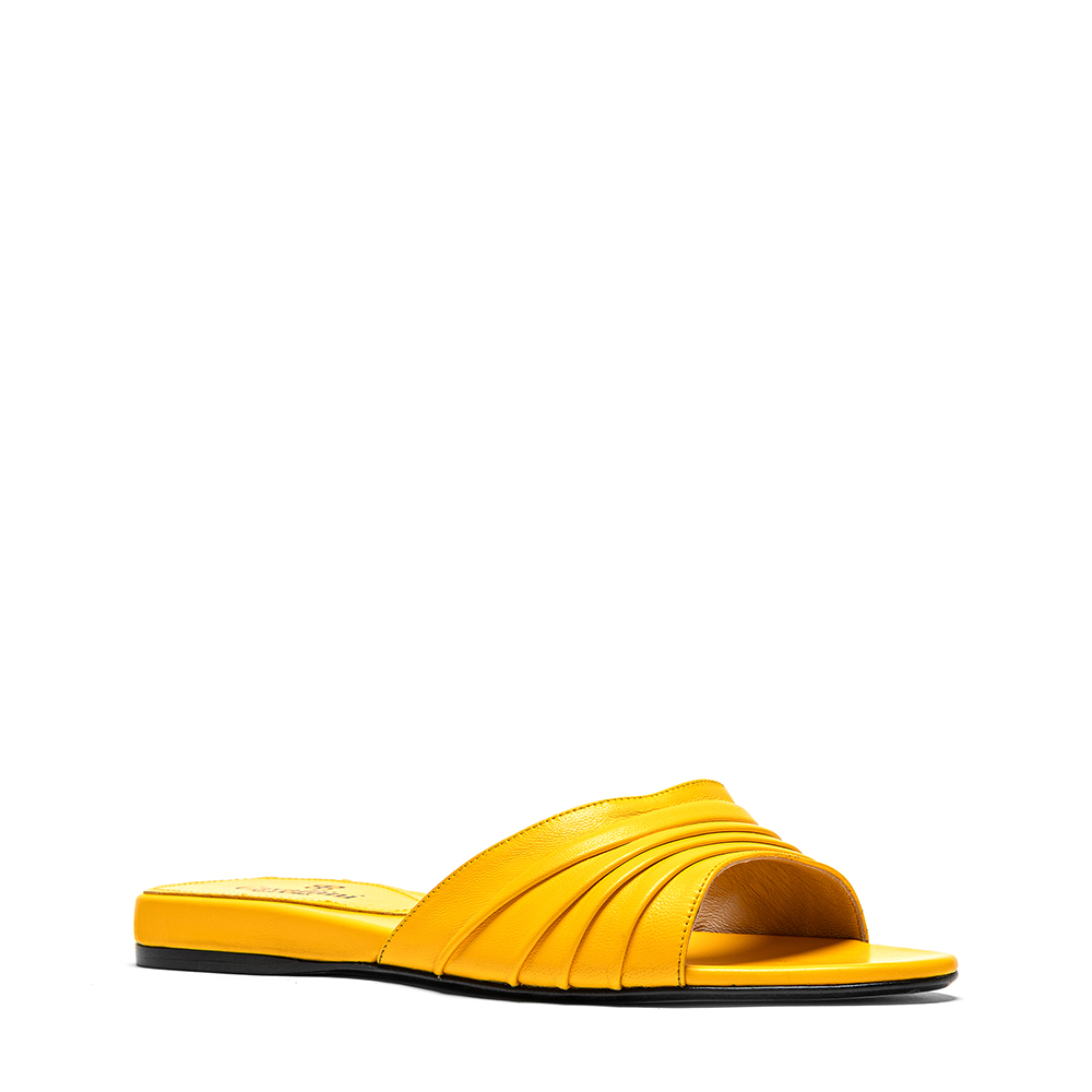 Zircone_2